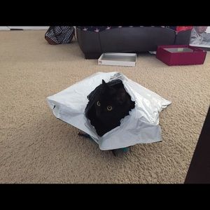 Meet your Posher, Cathy